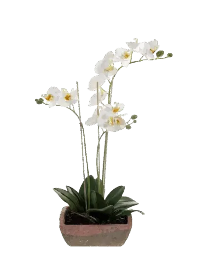 Künstliche Orchidee - Dolores | 50 cm*