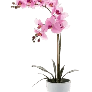Künstliche Orchidee - Dolores | 65 cm*