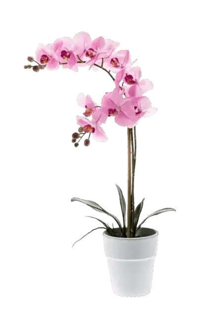 Künstliche Orchidee - Dolores | 65 cm*