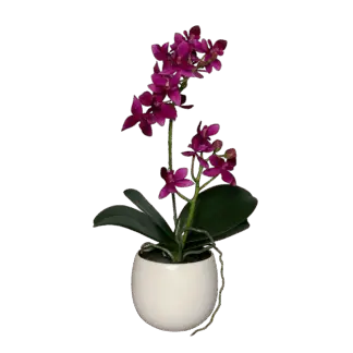 Künstliche Orchidee - Elric | 34 cm | im Keramiktopf*