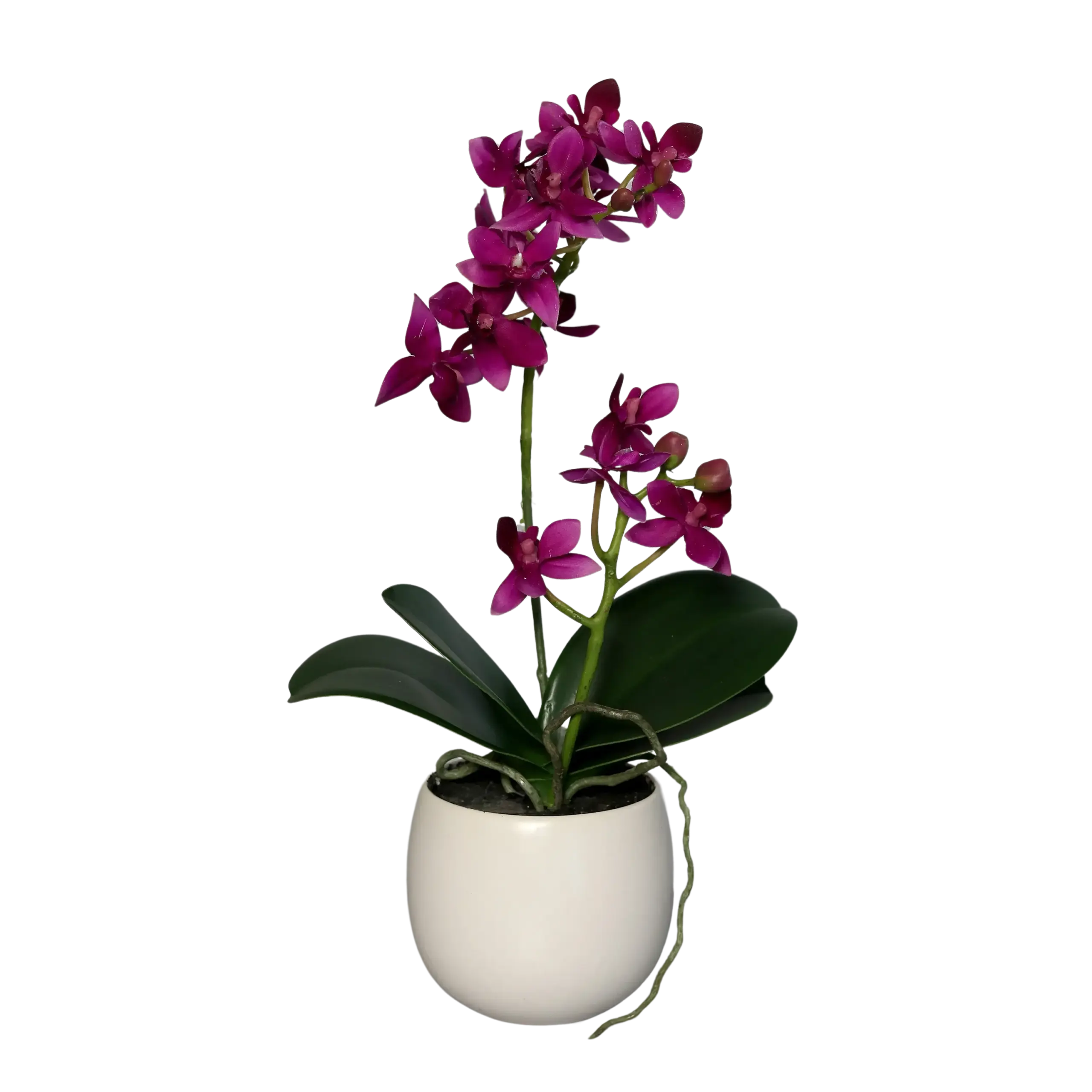 Künstliche Orchidee - Elric | 34 cm | im Keramiktopf*