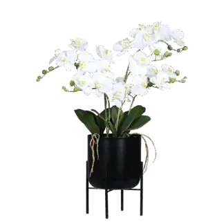 Künstliche Orchidee - Farid | 70 cm | Real Touch, im schwarzen Metalltopf*