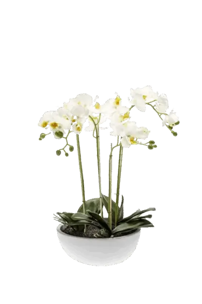 Künstliche Orchidee - Grace | 60 cm*