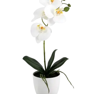 Künstliche Orchidee - Han | 36 cm*