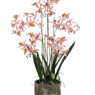 Künstliche Orchidee - Han  | 59 cm*