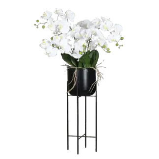 Künstliche Orchidee - Harah | 100 cm | Real Touch, im schwarzen Metalltopf*