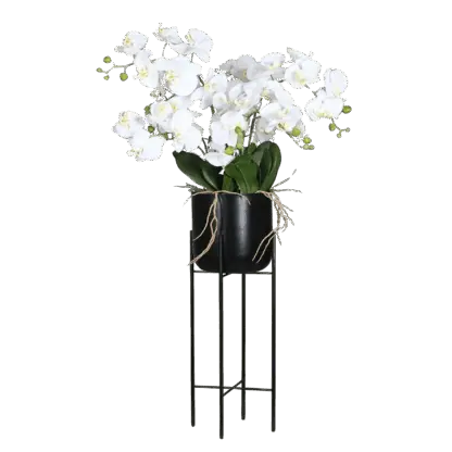 Künstliche Orchidee - Harah | 100 cm | Real Touch, im schwarzen Metalltopf*