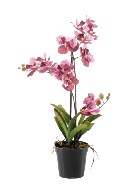 Künstliche Orchidee - Liam | 60 cm*