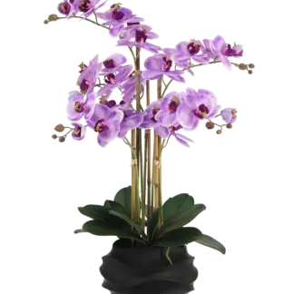 Künstliche Orchidee - Lien | 67 cm*