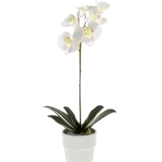 Künstliche Orchidee - Linus | 55 cm*