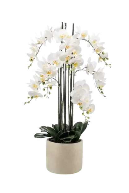 Künstliche Orchidee - Louisa | 100 cm*