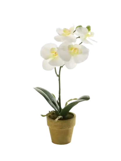 Künstliche Orchidee - Louisa | 25 cm*