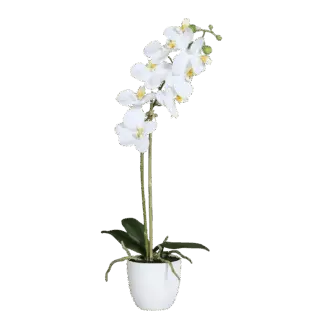 Künstliche Orchidee - Luca | 54 cm*