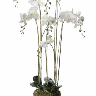 Künstliche Orchidee - Marie | 145 cm*