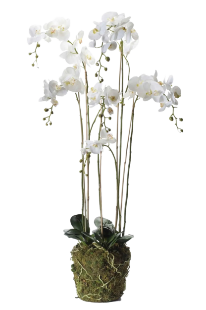 Künstliche Orchidee - Marie | 145 cm*