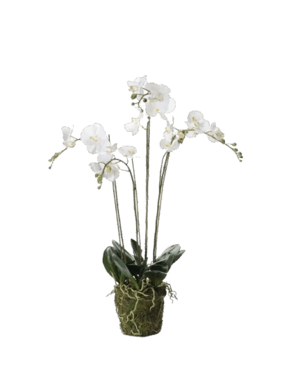 Künstliche Orchidee - Marie | 90 cm*