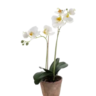 Künstliche Orchidee - Nika | 56 cm*