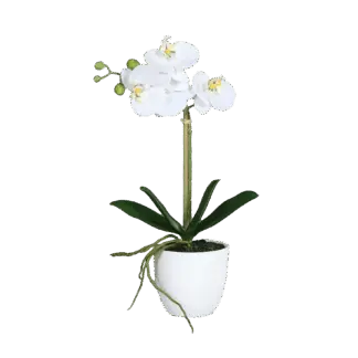Künstliche Orchidee - Nori | 40 cm*