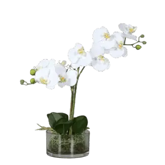 Künstliche Orchidee - Saitama | 40 cm | in Glasschale*