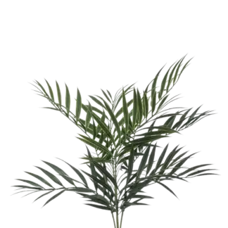 Künstliche Palme - Koa | 60 cm*
