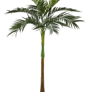 Künstliche Palme - Zasta | 245 cm*