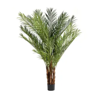 Künstliche Palme – Caliora | 240 cm*