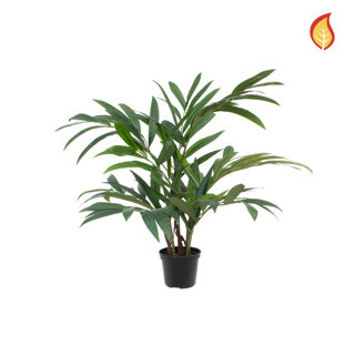 Künstliche Palour Palme - Perlok | 45 cm*