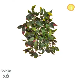 Künstliche Peperomia - Natalie | 37 cm*