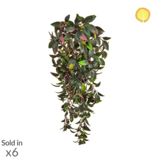 Künstliche Peperomia - Rüdiger | 72 cm*