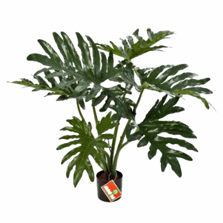 Künstliche Philodendre - Thalia | 60 cm*