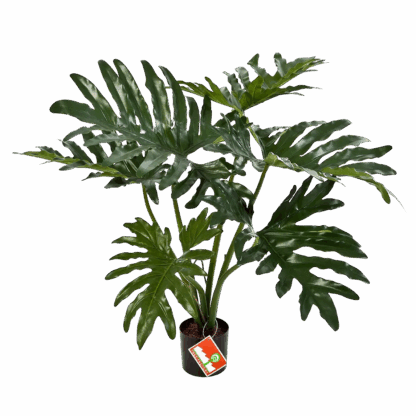 Künstliche Philodendre - Thalia | 60 cm*