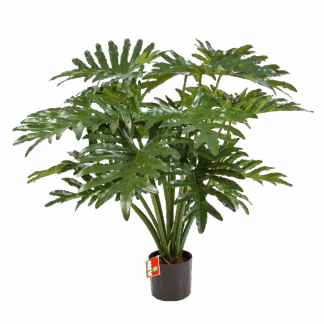 Künstliche Philodendre - Thalia | 90 cm*