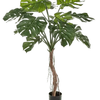 Künstliche Philodendron Monstera - Dean | 130 cm*