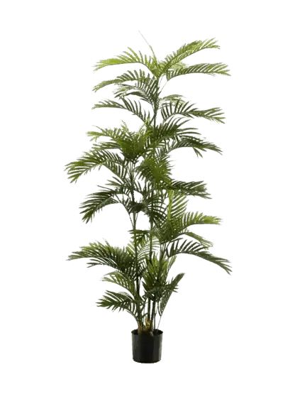 Künstliche Phoenix Palme - Kira | 180 cm*