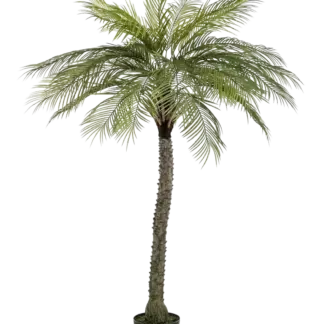 Künstliche Phoenix Palme - Marun | 220 cm*