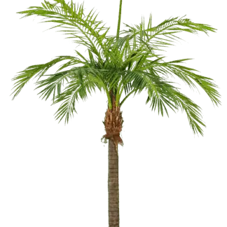 Künstliche Phoenixpalme - Saskia | 420 cm*