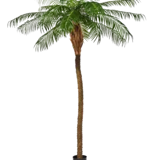 Künstliche Phoenixpalme – Zephyra | 210 cm*