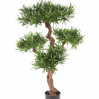 Künstliche Podocarpus - Phillip | 110 cm*