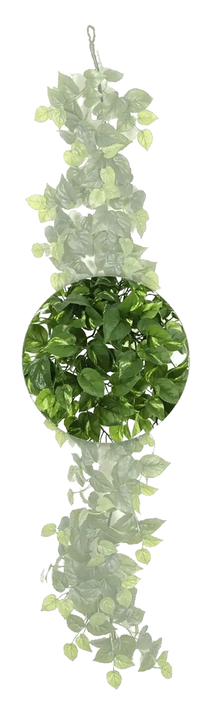 Künstliche Pothos Girlande - Beyza | 180 cm*