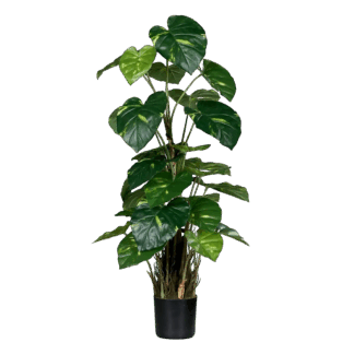 Künstliche Pothos - Jacobo | 82 cm*