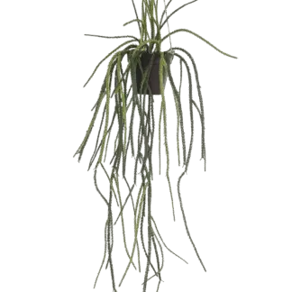 Künstliche Rhipsalis - Penni | 85 cm*