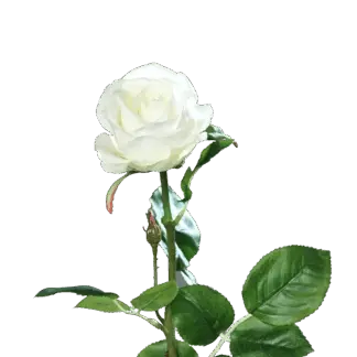 Künstliche Rose - Alexandros | 66 cm*