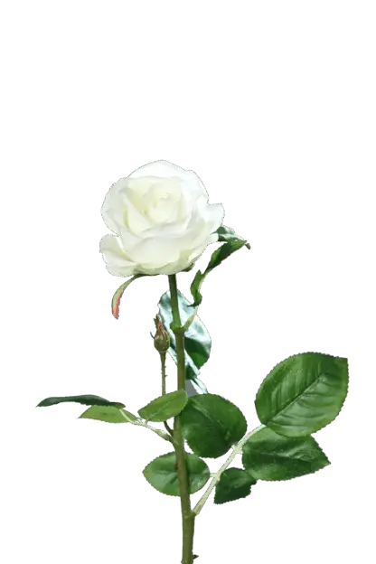 Künstliche Rose - Alexandros | 66 cm*
