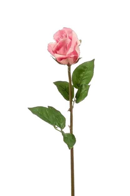 Künstliche Rose - Astoria | 58 cm*