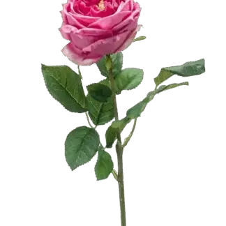 Künstliche Rose - Charlotte | 58 cm*