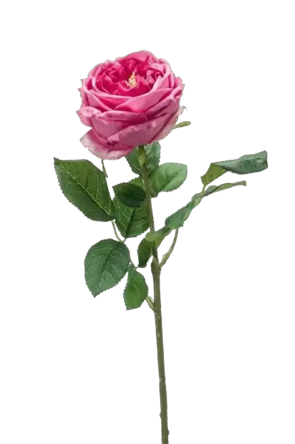 Künstliche Rose - Charlotte | 58 cm*