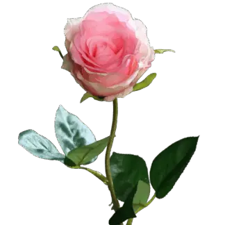 Künstliche Rose - Efgenia | 48 cm, halboffen*