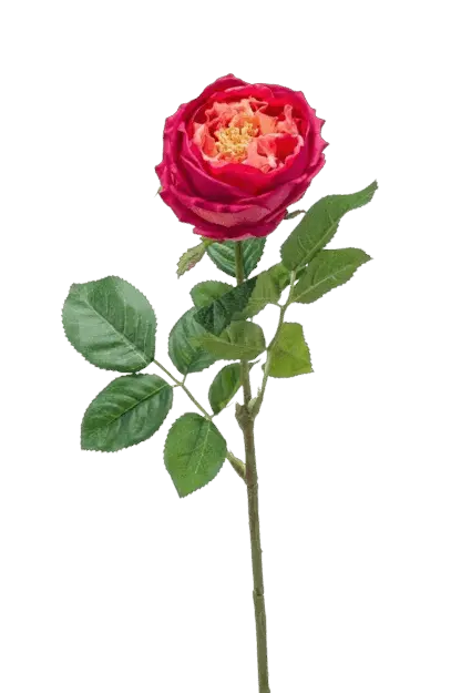 Künstliche Rose - Estefania | 60 cm*