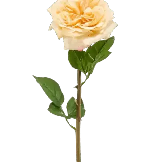 Künstliche Rose - Minerva | 60 cm*