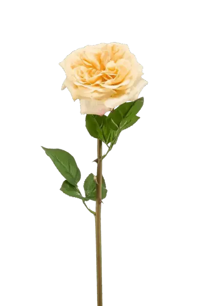 Künstliche Rose - Minerva | 60 cm*